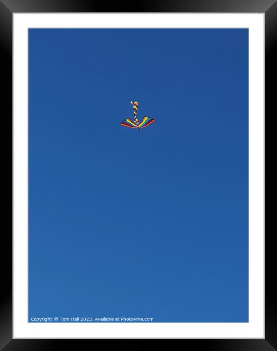 Kite Framed Mounted Print by Tom Hall