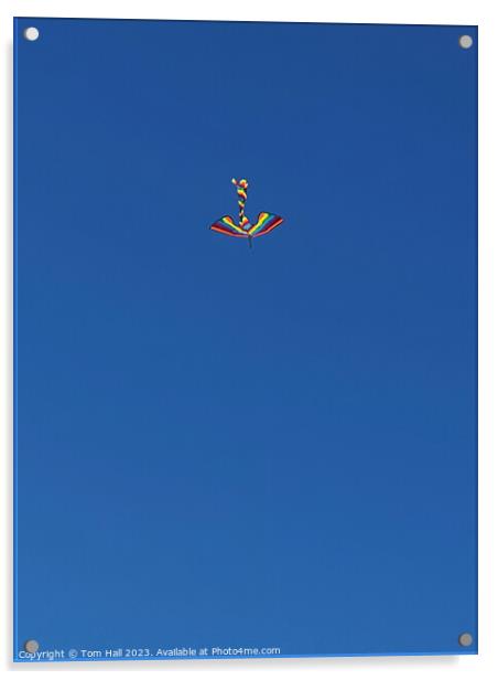 Kite Acrylic by Tom Hall