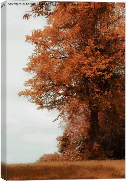 Autumns Finery Canvas Print by Christine Lake