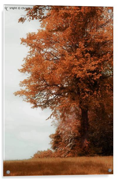 Autumns Finery Acrylic by Christine Lake