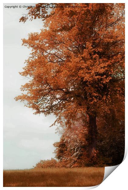 Autumns Finery Print by Christine Lake