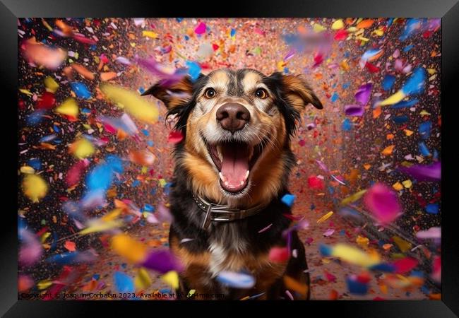 A dog full of joy surrounded by flying confetti. Ai generated. Framed Print by Joaquin Corbalan