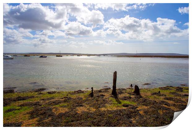 Looking Out Over The Solent At Keyhaven Print by Derek Daniel