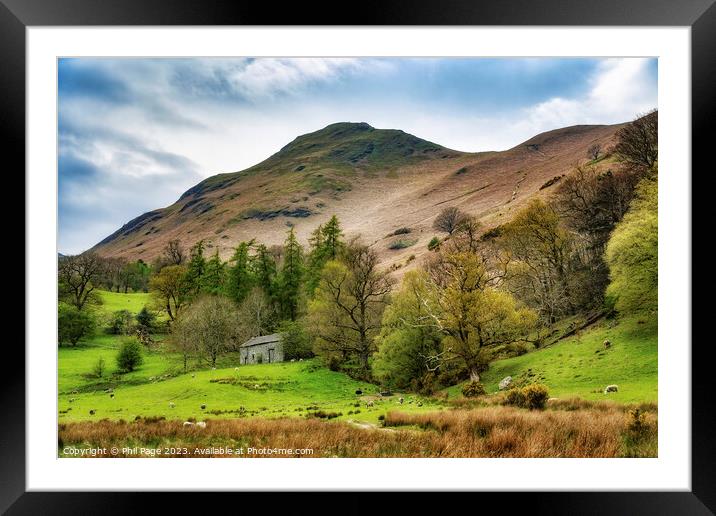 Under Catbells Framed Mounted Print by Phil Page