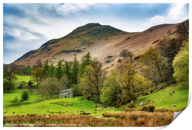 Under Catbells Print by Phil Page