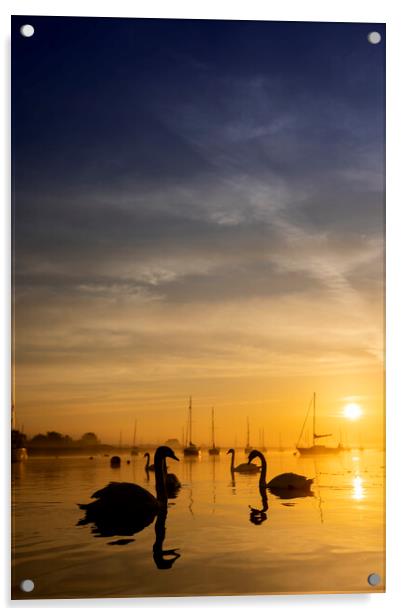 Swan Silhouette Acrylic by johnny weaver
