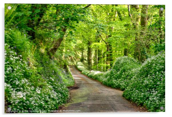 Lane through the woods near Looe  Acrylic by Rosie Spooner