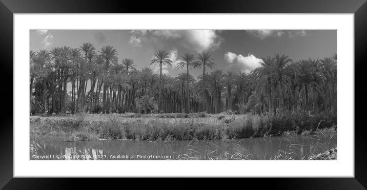The Palms Framed Mounted Print by Gordon Stein