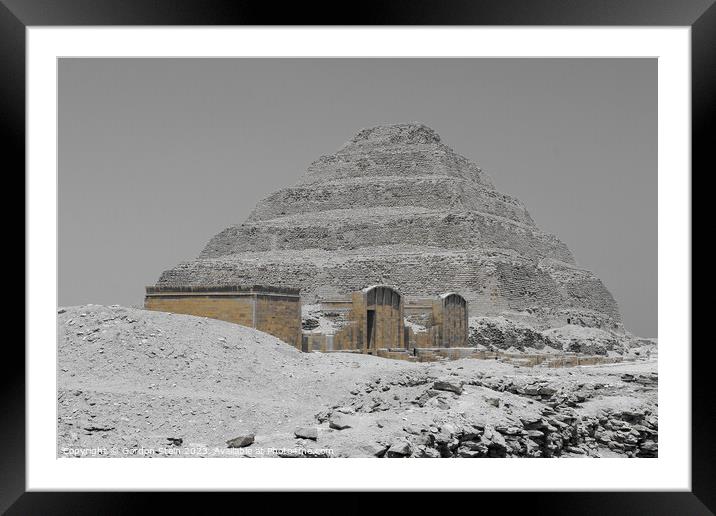 Djoser the Grey  Framed Mounted Print by Gordon Stein