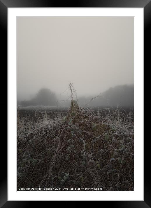 Frosted Fence Framed Mounted Print by Nigel Bangert