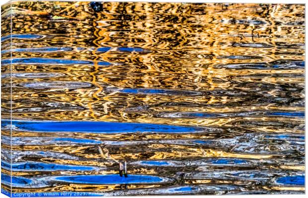 Natural Brown Blue Patterns Reflection Abstract Juanita Bay Kirk Canvas Print by William Perry