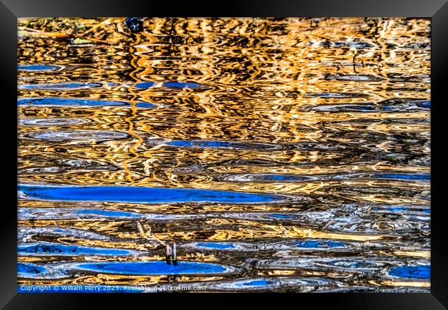 Natural Brown Blue Patterns Reflection Abstract Juanita Bay Kirk Framed Print by William Perry