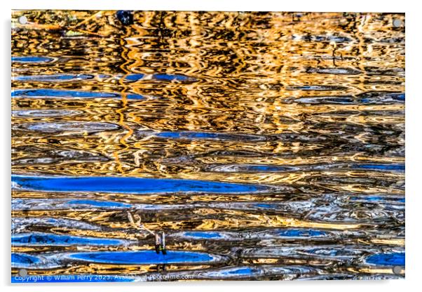 Natural Brown Blue Patterns Reflection Abstract Juanita Bay Kirk Acrylic by William Perry