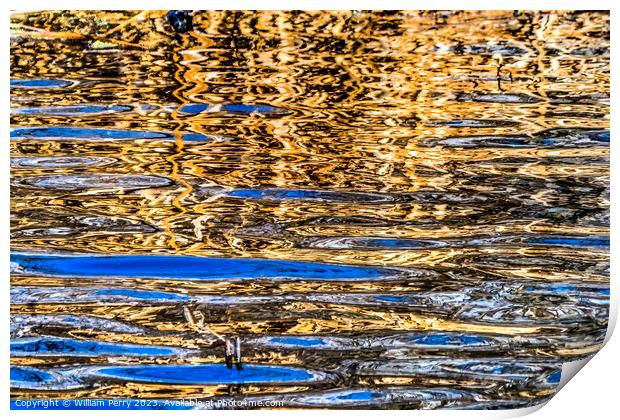 Natural Brown Blue Patterns Reflection Abstract Juanita Bay Kirk Print by William Perry