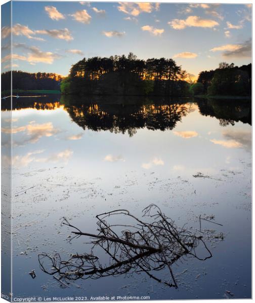 Lanark Loch Sunset water and branch Canvas Print by Les McLuckie