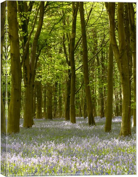 Plant tree Canvas Print by Simon Johnson