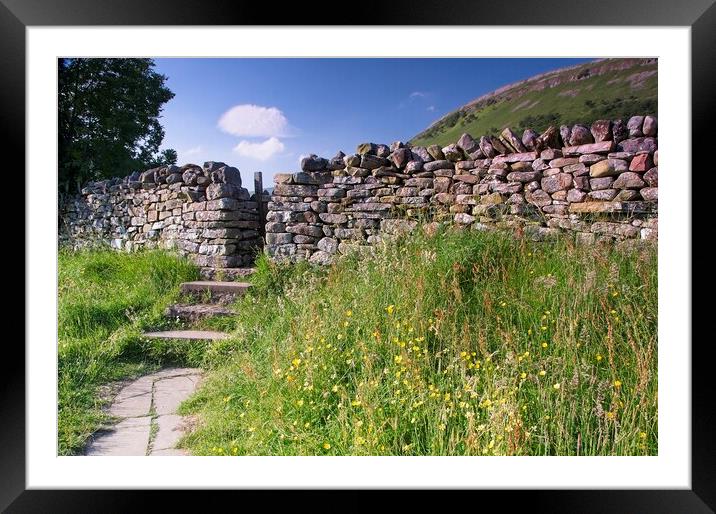 Stone Walls and Wildflowers at Muker Framed Mounted Print by Martyn Arnold