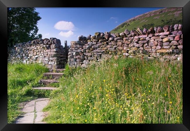 Stone Walls and Wildflowers at Muker Framed Print by Martyn Arnold