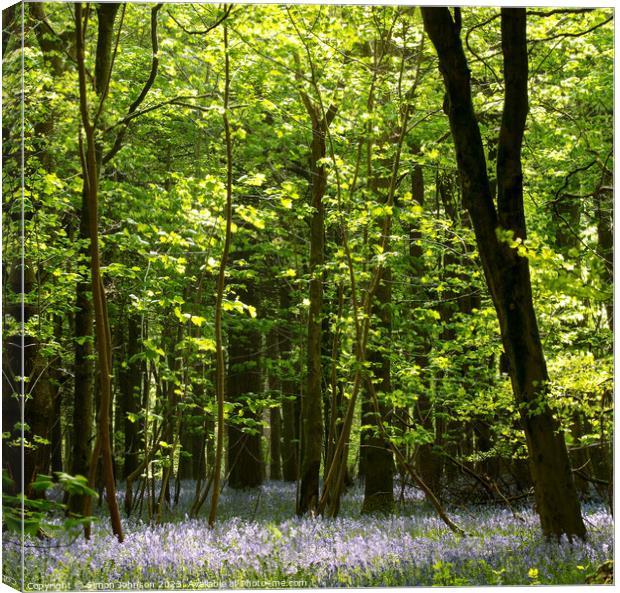 Plant tree Canvas Print by Simon Johnson