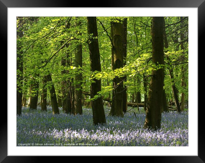 Bluebell Woodland  Framed Mounted Print by Simon Johnson