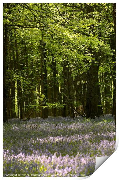 Bluebell Woodland  Print by Simon Johnson