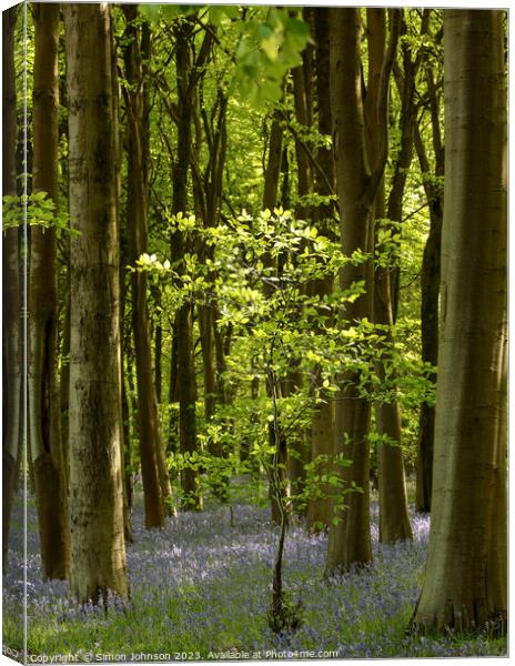 Bluebell Woodland  Canvas Print by Simon Johnson