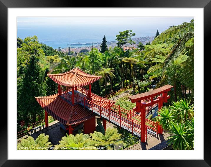 Monte Palace Madeira Tropical Garden Overlooking Funchal Framed Mounted Print by Gisela Scheffbuch