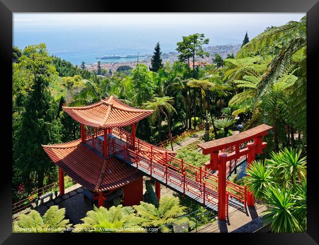 Monte Palace Madeira Tropical Garden Overlooking Funchal Framed Print by Gisela Scheffbuch
