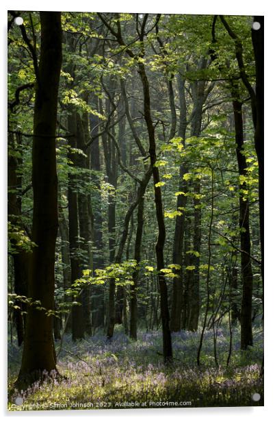 Bluebell Woodland  Acrylic by Simon Johnson