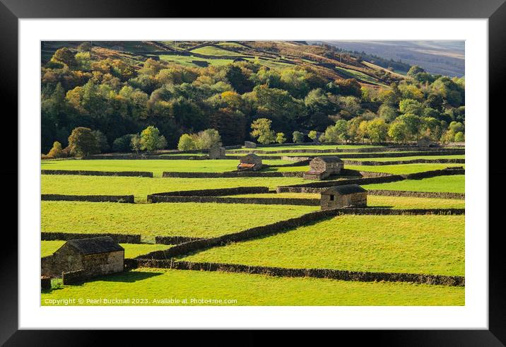 Swaledale Barns Yorkshire Dales English Countrysid Framed Mounted Print by Pearl Bucknall