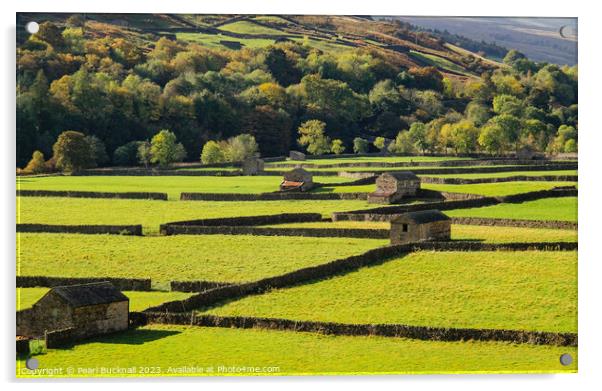 Swaledale Barns Yorkshire Dales English Countrysid Acrylic by Pearl Bucknall