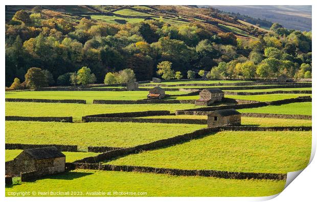 Swaledale Barns Yorkshire Dales English Countrysid Print by Pearl Bucknall