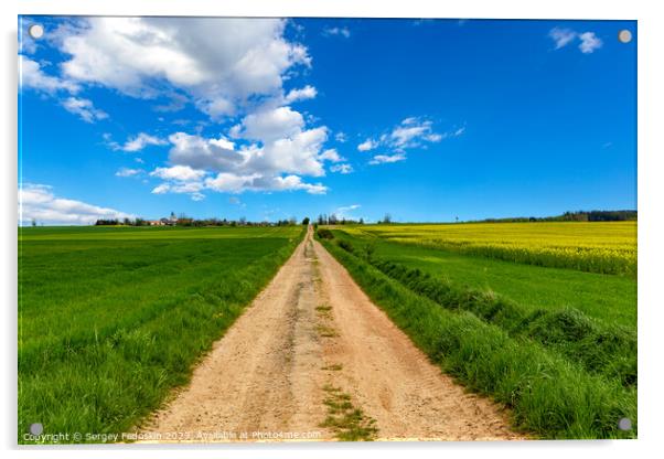 Rural dirt road among fields under the blue sky. Acrylic by Sergey Fedoskin