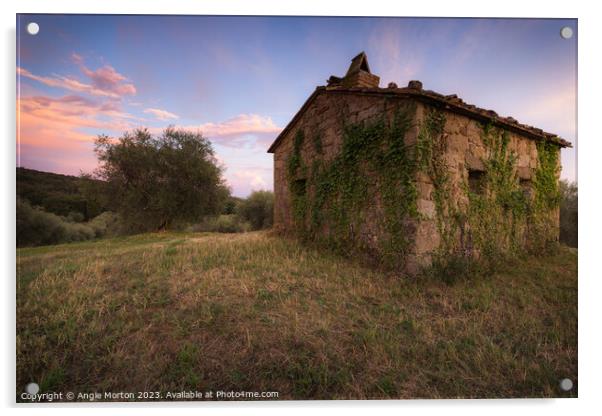 Tuscan Farm Hut Acrylic by Angie Morton