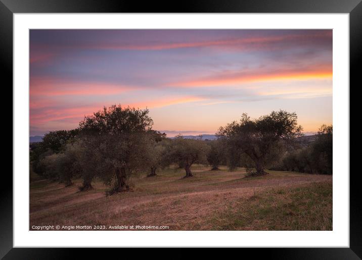 Sunset Sky Tuscany Framed Mounted Print by Angie Morton