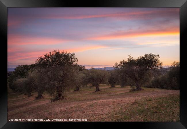 Sunset Sky Tuscany Framed Print by Angie Morton