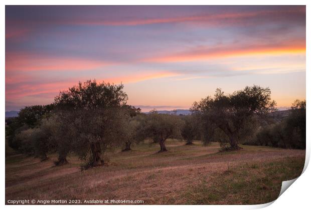 Sunset Sky Tuscany Print by Angie Morton