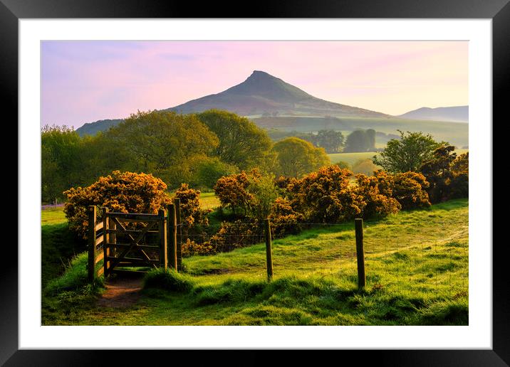 Roseberry Topping: North Yorkshire Gem Framed Mounted Print by Tim Hill