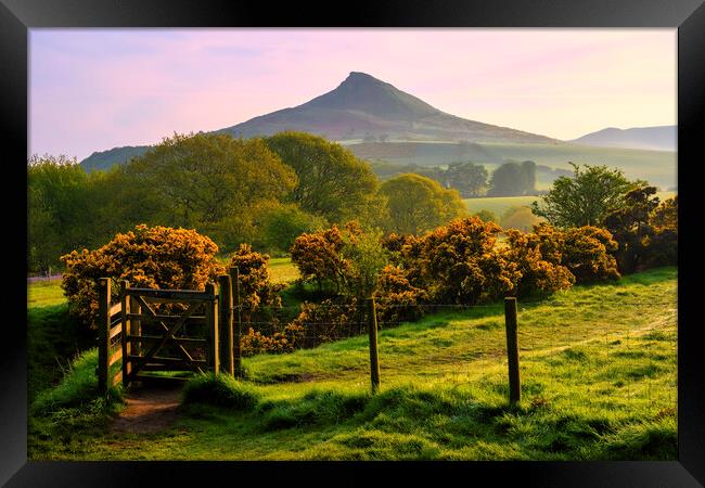 Roseberry Topping: North Yorkshire Gem Framed Print by Tim Hill