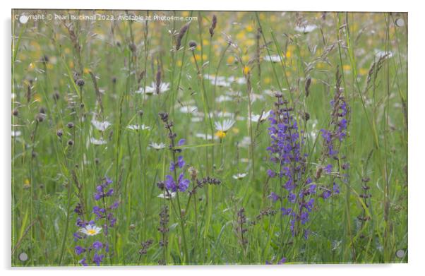 Flowers in a Wildflower Meadow Acrylic by Pearl Bucknall