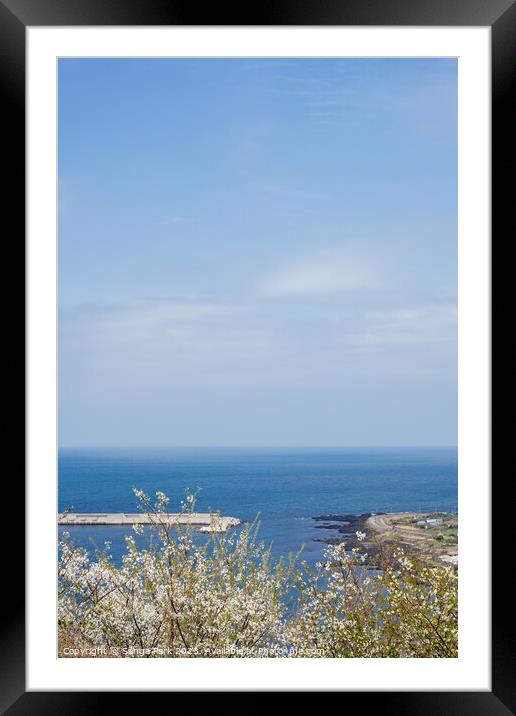 Sea and flower in Jeju island Framed Mounted Print by Sanga Park