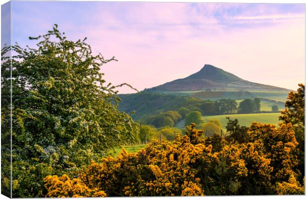 Roseberry Topping: Spring Landscape Canvas Print by Tim Hill