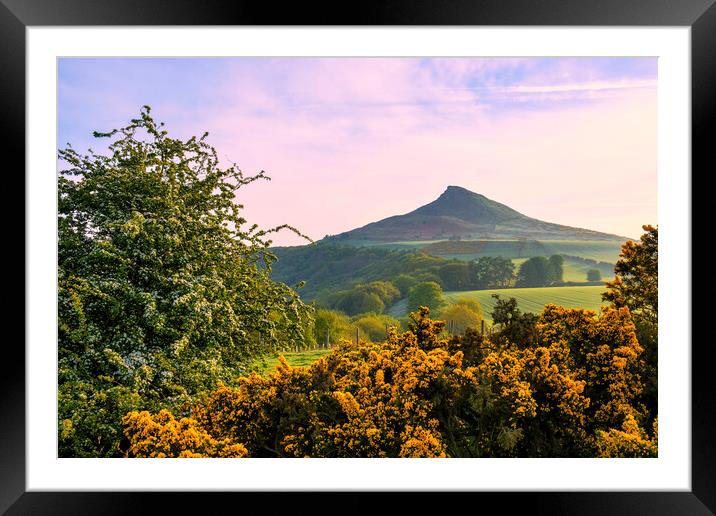 Roseberry Topping: Spring Landscape Framed Mounted Print by Tim Hill