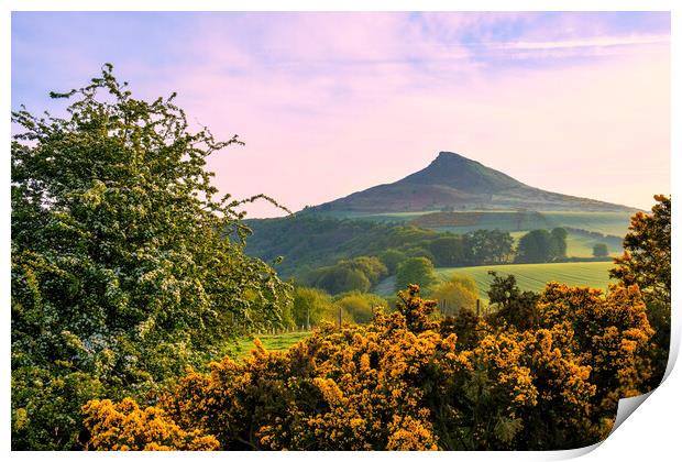 Roseberry Topping: Spring Landscape Print by Tim Hill