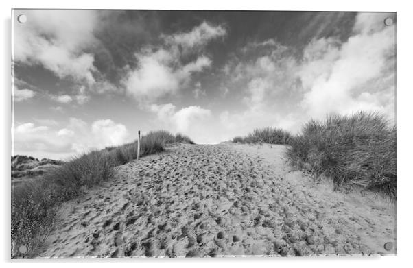 Formby sand dunes in black and white Acrylic by Jason Wells