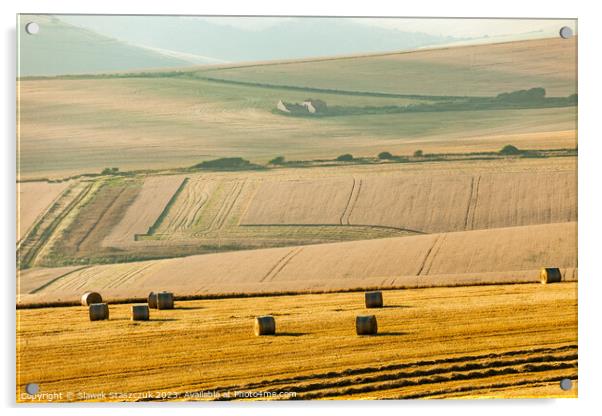 Harvest on the Downs Acrylic by Slawek Staszczuk