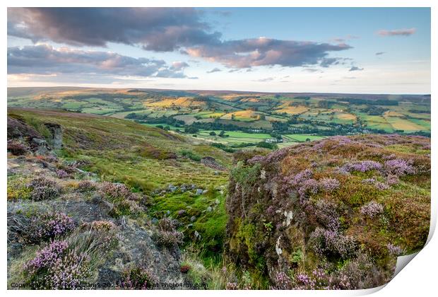 heather on the north york moors looking over Rosed Print by Martin Williams