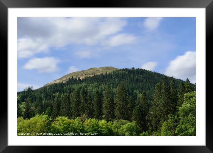 Benmore Mountain Forest Framed Mounted Print by RJW Images
