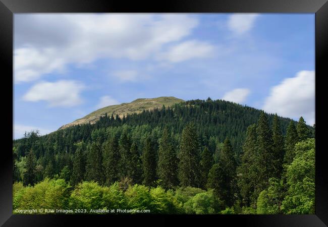Benmore Mountain Forest Framed Print by RJW Images