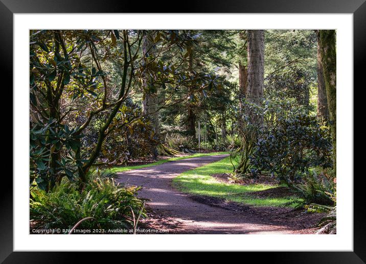 benmore botanical gardens Framed Mounted Print by RJW Images